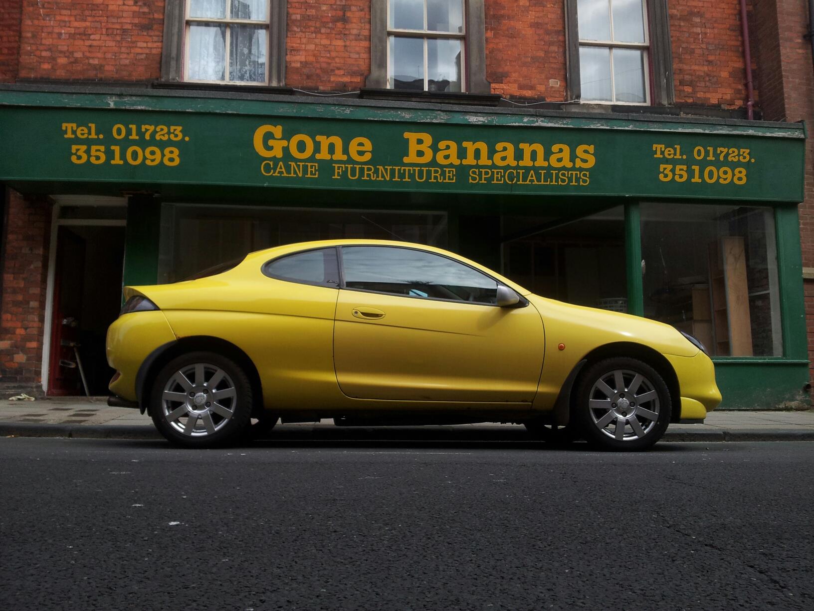 GoBananas.jpg