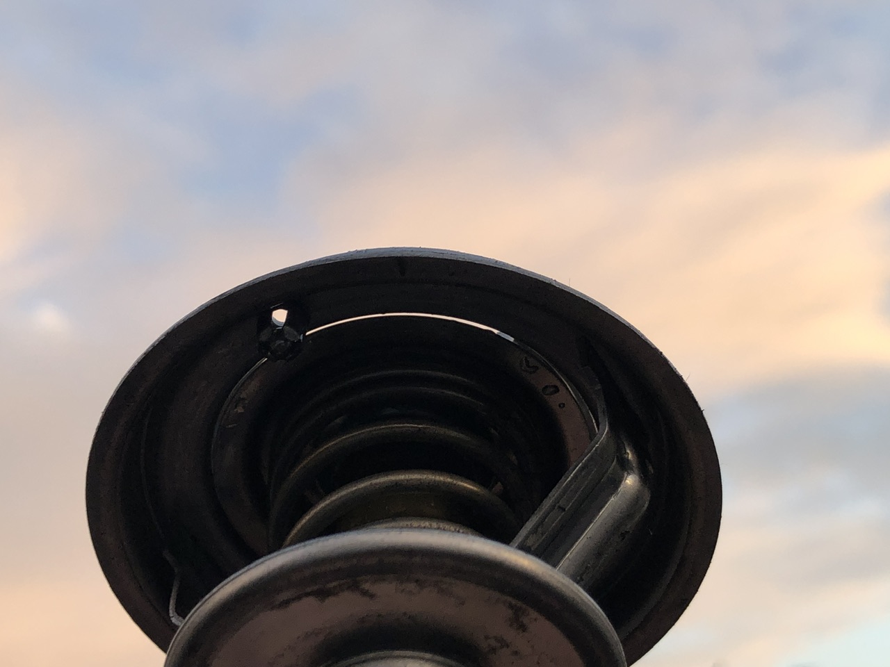 IMG_1739.jpeg