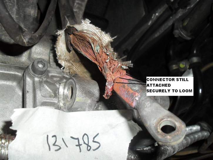 sdc11485.jpg