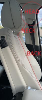 headneckback.jpg