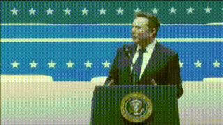 Muskcunt.gif