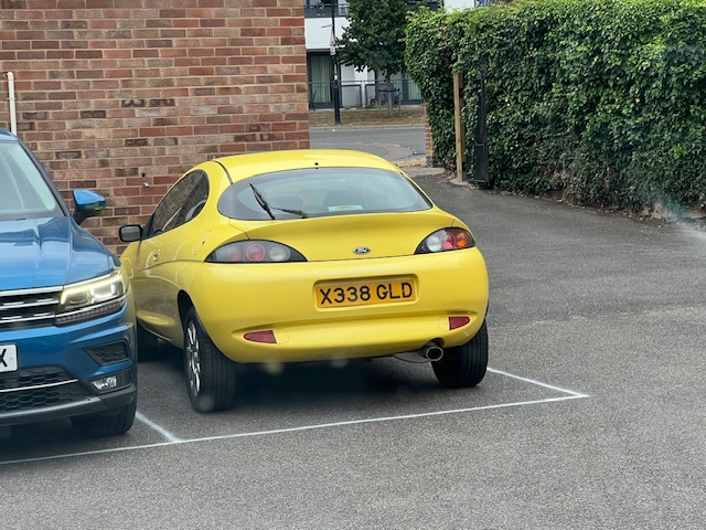 IMG_5009.jpeg