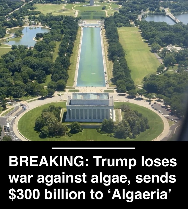 508d9d2c-ad38-3149-43bf-74d13017b9f1.jpg