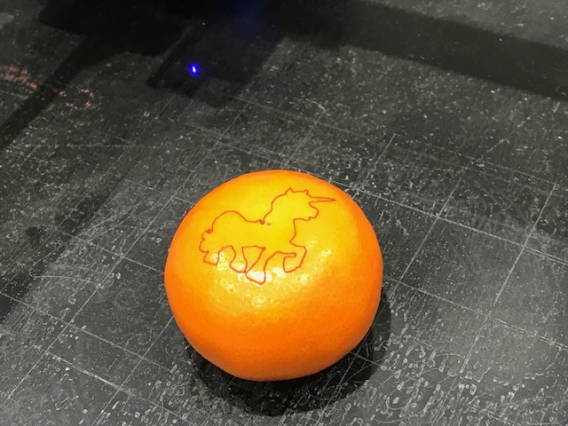UNICORNTANGERINE.jpg