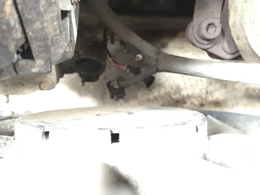 2020-03-15 12.20.30 copy.jpg