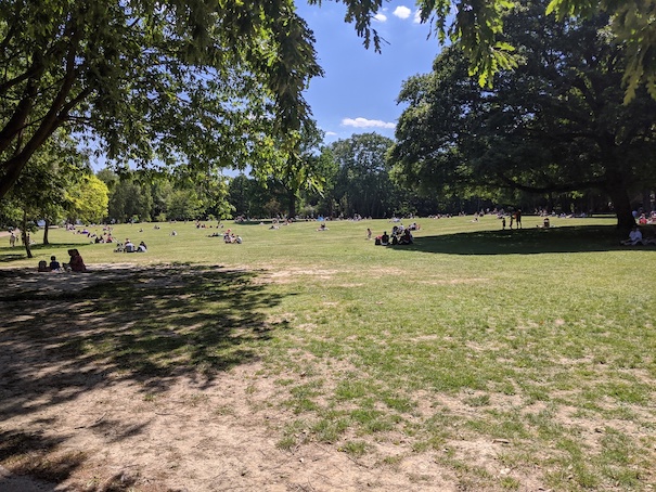 Park.jpg